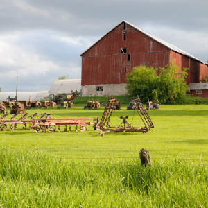 Solar-powered agricultural project creating sustainable farming solutions.
